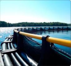 Quality HDPE Aquaculture AS/NZS4130 Fish Farm Equipment wholesale