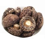 Brown Dehydrated Flat Shiitake Mushroom With Intense Mushroomy Aroma