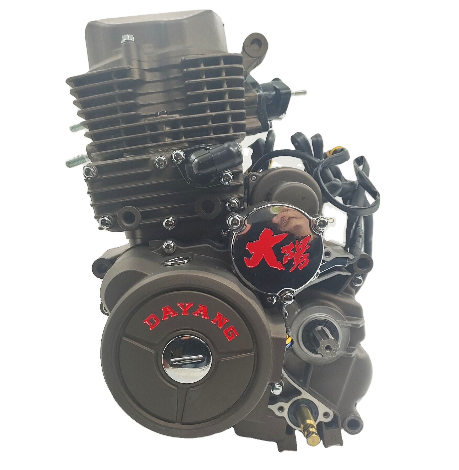 Electric/Kick Start DAYANG MOTOR 175cc Three Wheel Motorcycle Engine with Water Pump