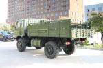 12.5R20 Tire 4X4 Truck for Off Road Cargo Transport in Africa's Extreme