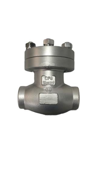 ISO 9001 Certified Cryogenic Check Valve for Cryogenic Temperatures SW End