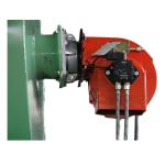 Field Maintenance Dual Chambers Incinerator for 300-500kgs Dead Chickens Silver