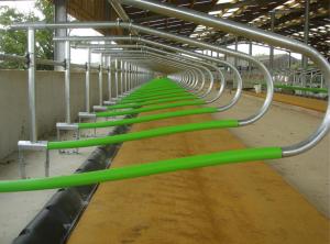 Quality Indoor Cow Free Stall Dairy Barn Poultry Farm Equipment ISO9001 Approval wholesale