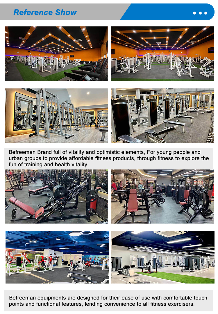 Freeman Commercial Gym Fitness Equipment Adjustable Modern Steel Sit-Up Bench Foldable Bodybuilding Bench