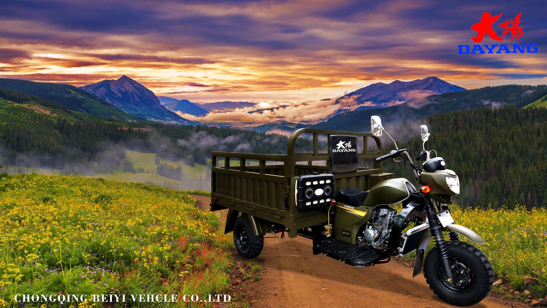 3 Wheel 150cc Cargo Motorcycle with Heavy Loader and Tyre 5.0-12