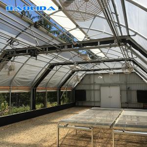 Quality Automated Control Greenhouse With Blackout System Light Deprivation ISO9001 wholesale