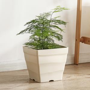 Quality 25x25cm Quadrate Polyresin Square Recycling Plastic Nursery Pots wholesale
