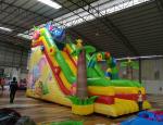 Customized amusement park equipment outdoor giant 150ft infatable pool water