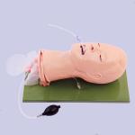 Fully Functional Cpr Training Manikins Airway Management Model