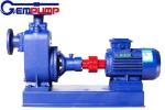 Cast Iron 0.75KW Self Priming Water Pump 2900RPM Self Priming Sewage Pump