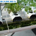 Agricultural Tempered Glass Venlo Type Greenhouse With 48mm Column