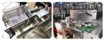 Agricultural Chemical DGD-220BJ Fully Automatic Horizontal Bagging Machine