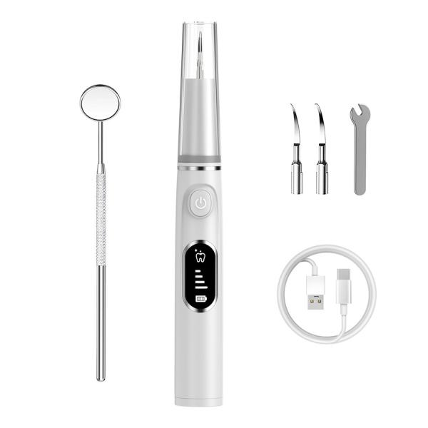 Professional USB LED Light Built In Ultrasonic Tooth Cleaner Portable Dental