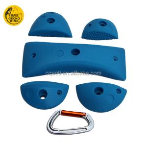 Quality XL Gecko King Indoor Rock Climbing Holds Perfect for Climbing Enthusiasts at Home wholesale