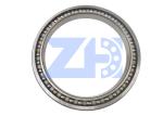 Excavator Bearing TZ200F1033-00 Angular Contact Ball Bearing