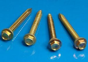 Quality Hex Socket Head Tapping Cross Head Screw 8mm A2 A4 Stainless Steel SS304 wholesale