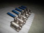 Blowout Proof WCB Forging Floating Ball Valve Anti Static
