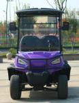 Golf Trucks Equipped With Off-Road Tires And Aluminum Alloy Cargo Box Super Load