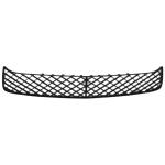 Lightweight Continental Gt Bumper Grill Bentley Body Kit OEM 3W3807667F