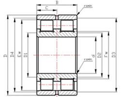 Quality SL series roller bearings SL0248 Series Cylindrical Roller Bearings SL024876 wholesale