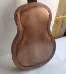 19 Series Resonator Guitar, Resophonic Guitars, Metal Body Duolian Guitar