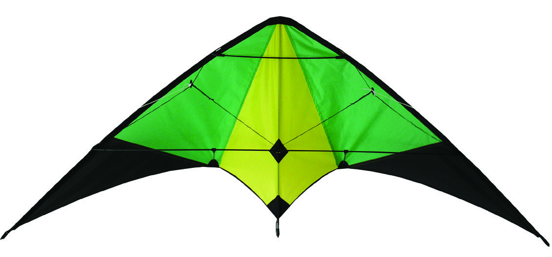 Classic style outdoor Delta sports kite colorfully with common size