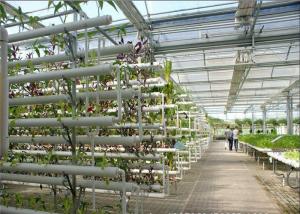 Quality Plastic Film Low Cost Greenhouse , Hydroponic Plastic Greenhouse Accessible To Remove wholesale
