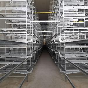 Quality 192 Chickens / Set H Type Battery Chicken Cage Chicken Farming Cage Automatic wholesale