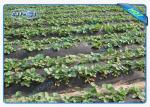 Winter Keep Heat / Fertilizer Agriculture Non Wover Cultivating Seedling Ground