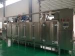 Multifunctional Continuous 14.6kw Nut Roasting Equipment