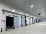Blast Freezer Cold Room 220V 380V For Meat / Fruit / Vegetable
