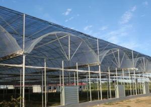 Quality Thermal Insulation Single Span Tunnel Plastic Film Greenhouse wholesale
