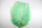 Carnival Costumes Decoration Millinery Feather , Ostrich Plume Feathers Multi