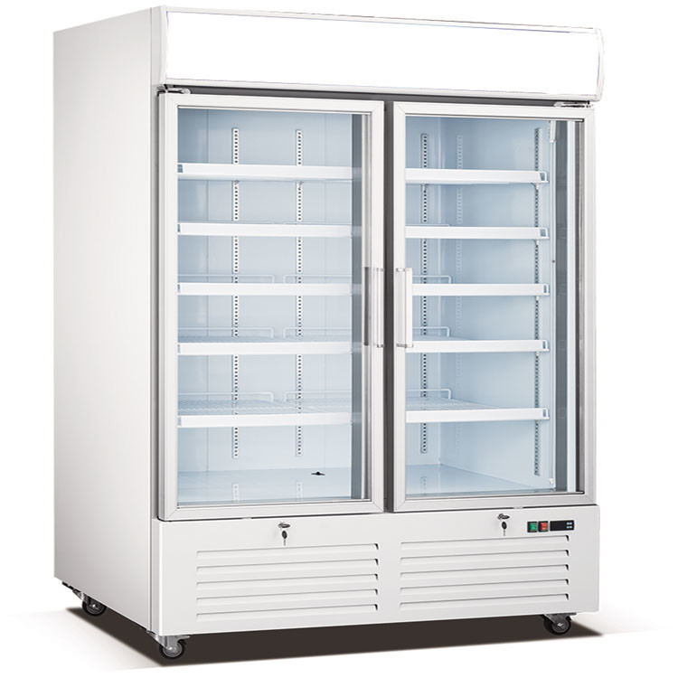 Digital Temperature Control Upright Glass Door Freezer 220V / 60Hz For Beverage
