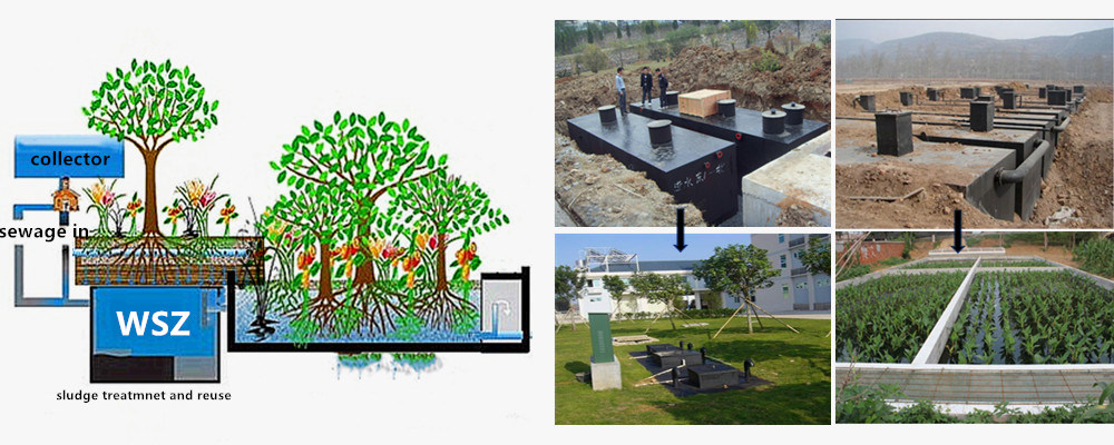1000 kg Weight Septic Tank Domestic Sewage Treatment System for Customized Needs