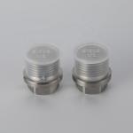 Forged Duplex Stainless Steel 2205 Hardware Uns31803 A182 F51 Hex Head Plug for