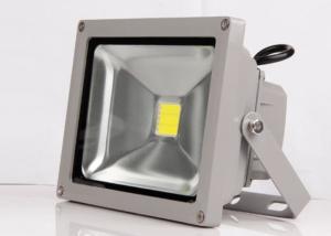 Quality Waterproof Outdoor Lighting Fixtures 50W For Town Landscape Lighting ROHS Approved wholesale