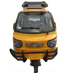 Petrol Drift 200w 230cc Two Seater Tricycle For Adults