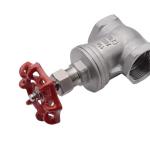 Stainless Steel 304 Gate Valve Pn16 Female Thread for Water Management Solutions