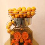 Auto Feed 304 Stainless Steel Orange Juicer Extractor For Supermarket / Tea Shop