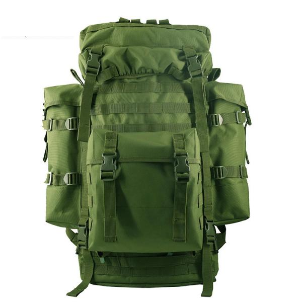 Waterproof 80L Professional Mountaineering Backpack for Large Capacity Outdoor