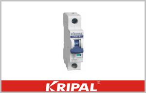 Quality High Breaking Capacity Micro Circuit Breaker , White 1 Pole Circuit Breaker wholesale