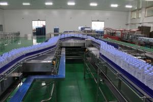 Quality Pure Mineral Water 500ml 1000ml Blowing Filling Capping Combine wholesale