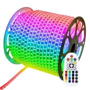 Quality 240V/230V/110V/220V RGB 5050 LED Strip Lights for Landscape with Remote IP65 Plastic Body wholesale