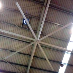 Quality AWF49 Large Outdoor Ceiling Fans , High Volume Low Speed Industrial Fans wholesale