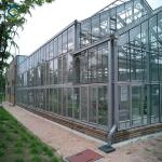 Vegetable Fruits 0.4KN/M2 9.6m Multi Span Greenhouse