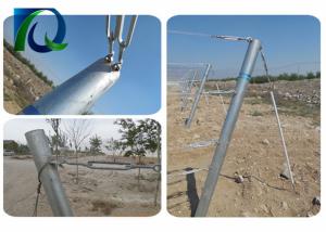 Quality Durable Galvanized Steel Vineyard End Posts 2.5MM Thick 2.7M Height Round Pipe wholesale