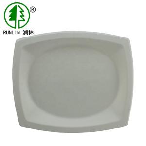 Quality Recyclable Heavy Duty Eco Friendly Dinnerware Disposable Sugarcane Paper Plates wholesale