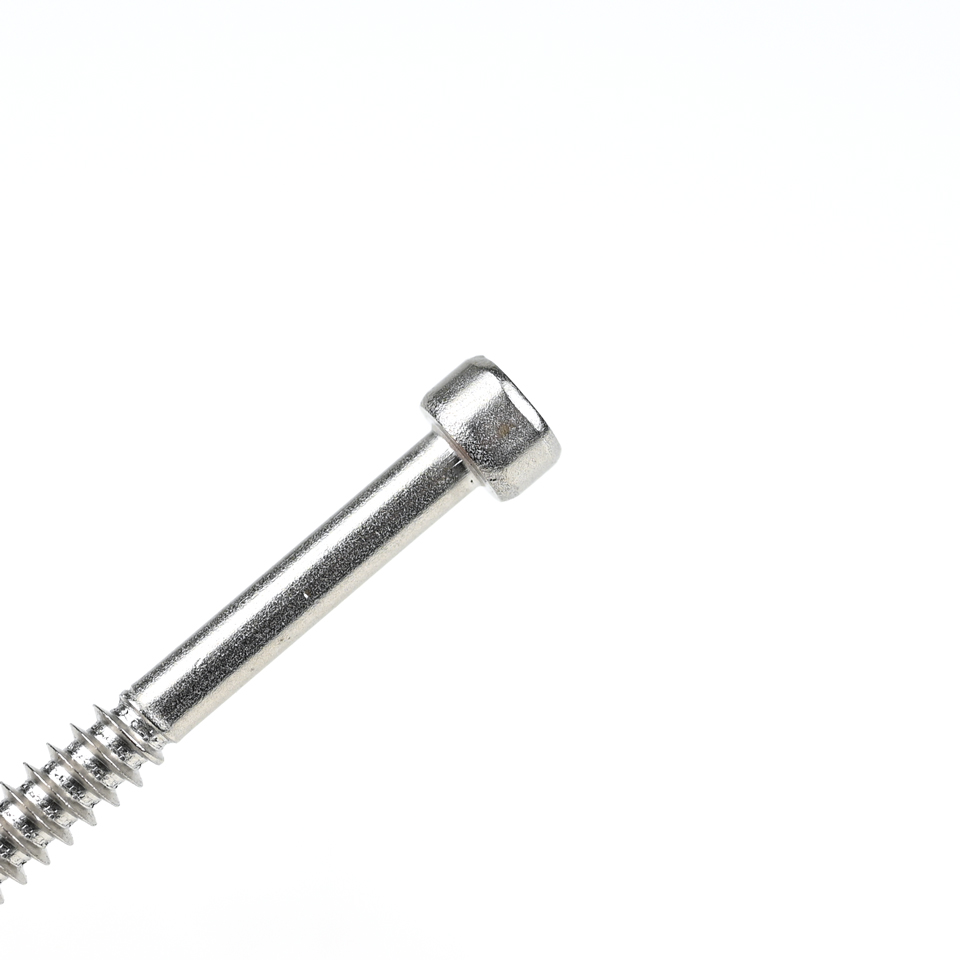Stainless Steel Cup Fillister Head Torx Self Tapping Screw for Various Applications
