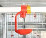 Plastic Chicken Feeding Equipment Automatic Broiler Poultry Farm Equipment